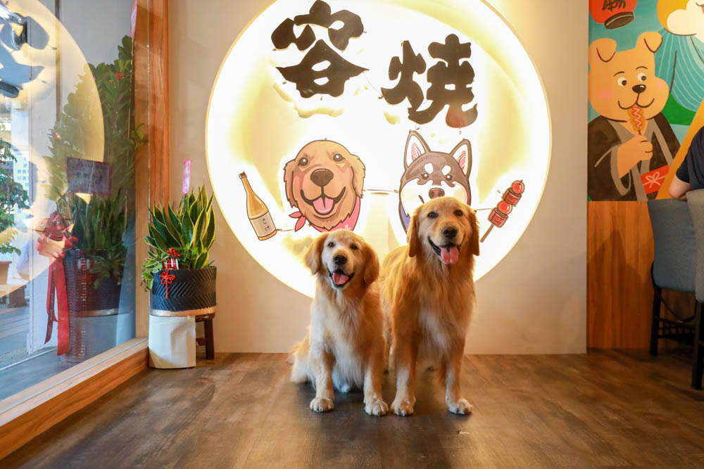 新北板橋美食|容燒居酒屋板橋加盟店。寵物友善餐廳、日式燒烤、串燒超美味,還有寵物專屬先食串燒!! - 第1張圖 新北板橋美食|容燒居酒屋板橋加盟店。寵物友善餐廳、日式燒烤、串燒超美味,還有寵物專屬先食串燒!!