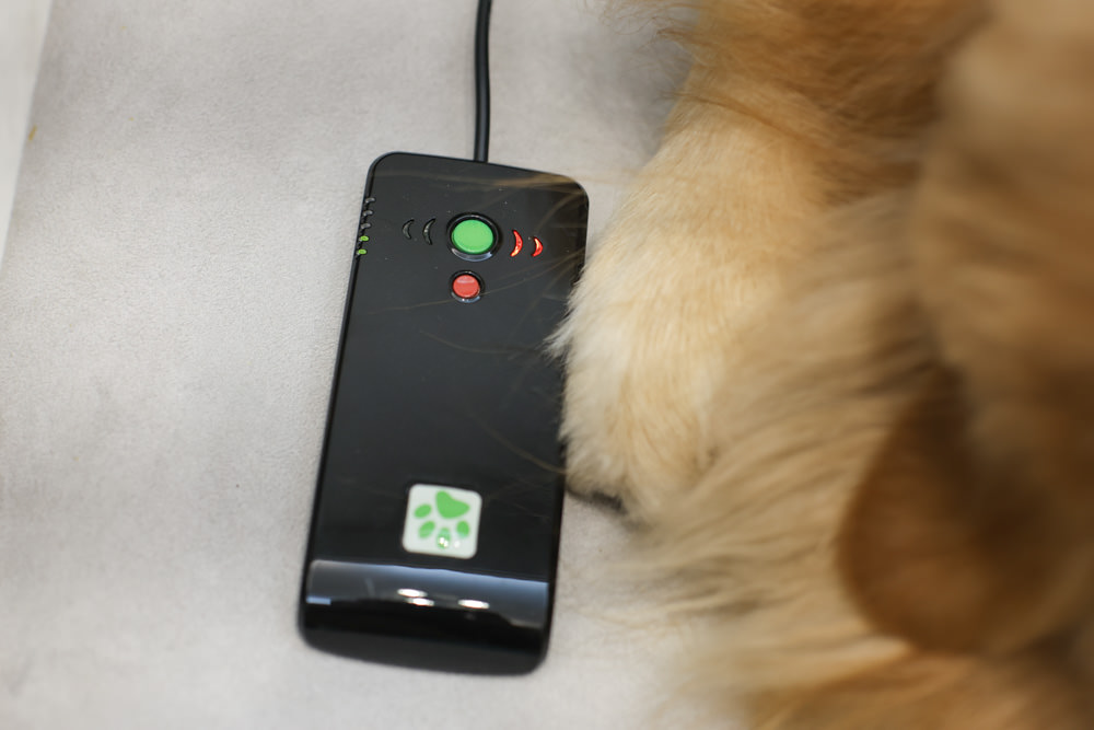 ePad Friends益沛得寵物脈衝電磁墊。居家照護、關節脊椎骨骼保養、放鬆肌肉、非侵入性的寵物日常保健