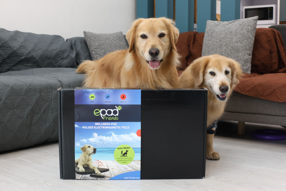 ePad Friends益沛得寵物脈衝電磁墊。居家照護、關節脊椎骨骼保養、放鬆肌肉、非侵入性的寵物日常保健