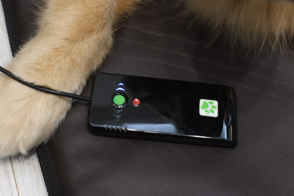 ePad Friends益沛得寵物脈衝電磁墊。居家照護、關節脊椎骨骼保養、放鬆肌肉、非侵入性的寵物日常保健