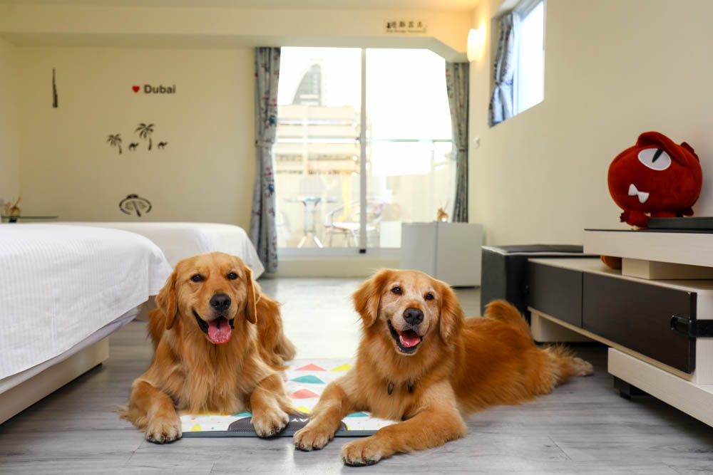 高雄住宿｜小歐精緻旅店。六合夜市旁、附設電梯，還有電鍋、微波爐、高雄寵物友善飯店民宿