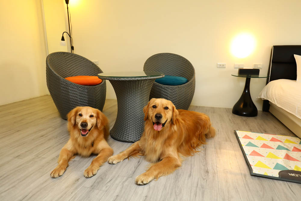 高雄住宿｜小歐精緻旅店。六合夜市旁、附設電梯，還有電鍋、微波爐、高雄寵物友善飯店民宿