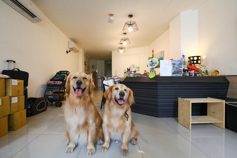 高雄住宿｜小歐精緻旅店。六合夜市旁、附設電梯，還有電鍋、微波爐、高雄寵物友善飯店民宿