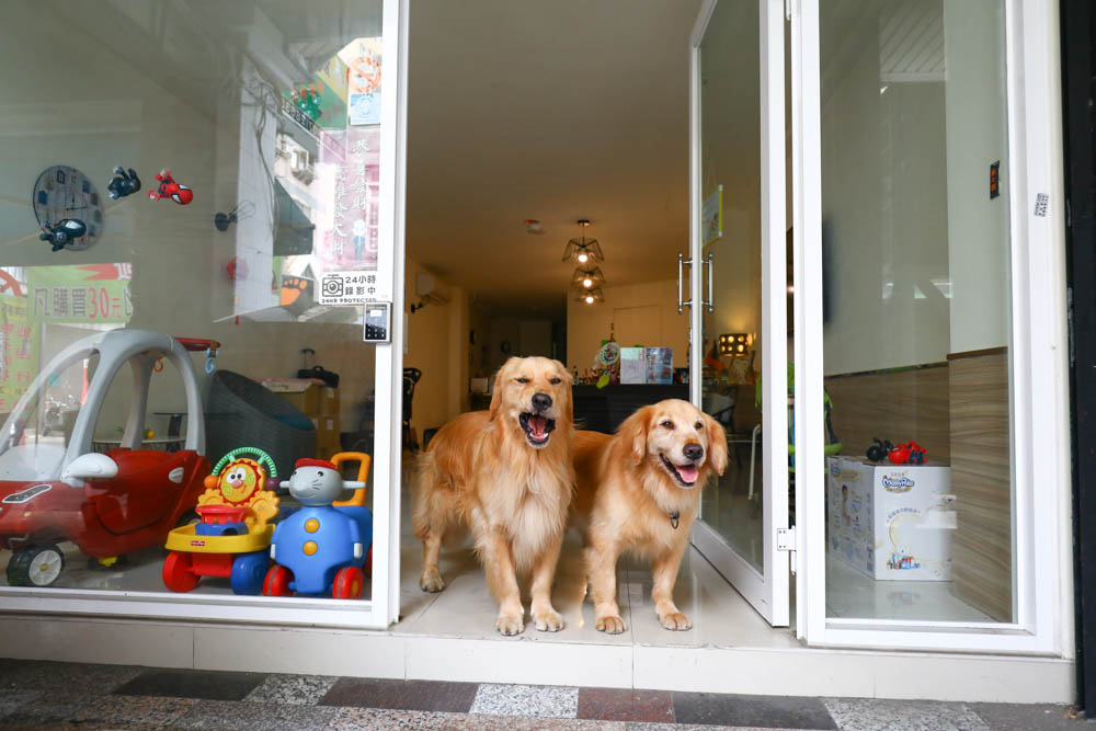 高雄住宿｜小歐精緻旅店。六合夜市旁、附設電梯，還有電鍋、微波爐、高雄寵物友善飯店民宿