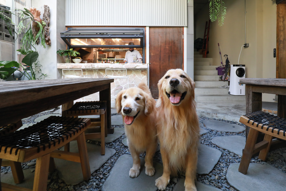 墾丁恆春美食｜小綠舟CAFE BARCA VERDE CAFE。寵物友善餐廳、網美森林系植栽咖啡廳