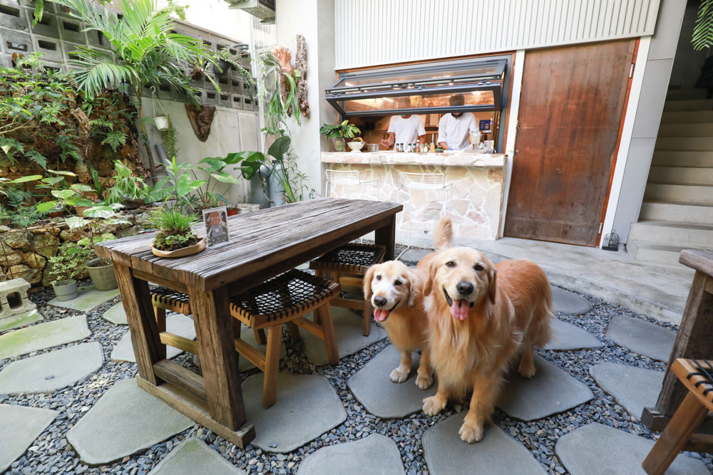 墾丁恆春美食｜小綠舟CAFE BARCA VERDE CAFE。寵物友善餐廳、網美森林系植栽咖啡廳