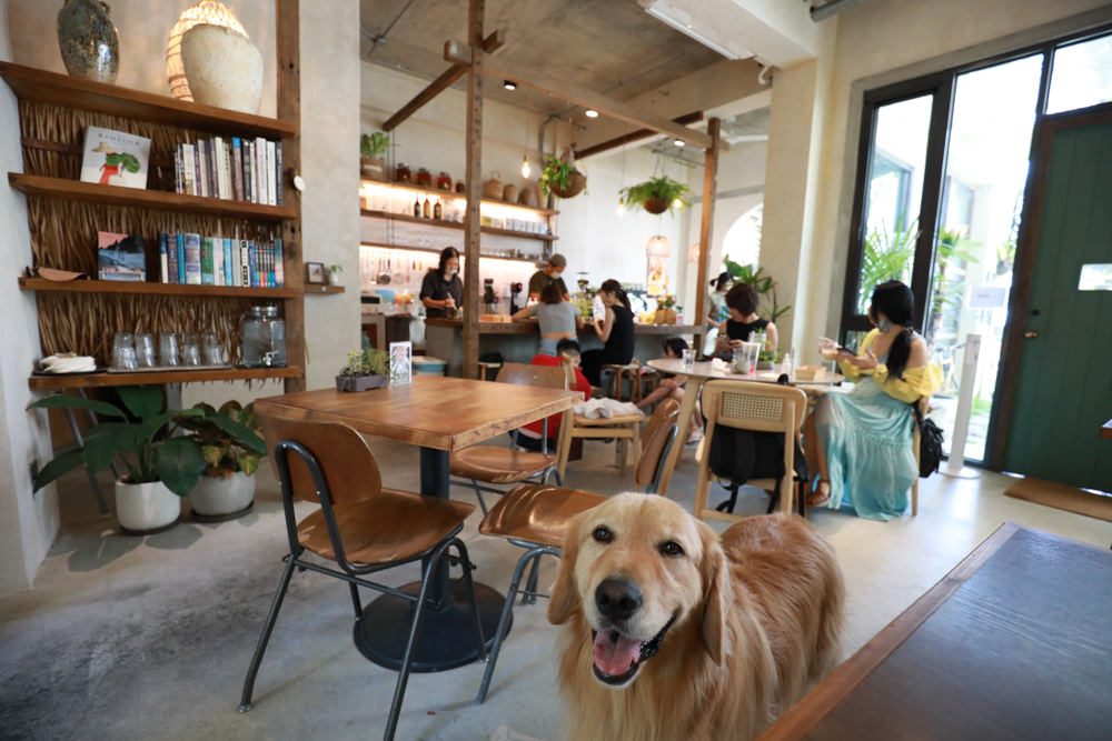 墾丁恆春美食｜小綠舟CAFE BARCA VERDE CAFE。寵物友善餐廳、網美森林系植栽咖啡廳