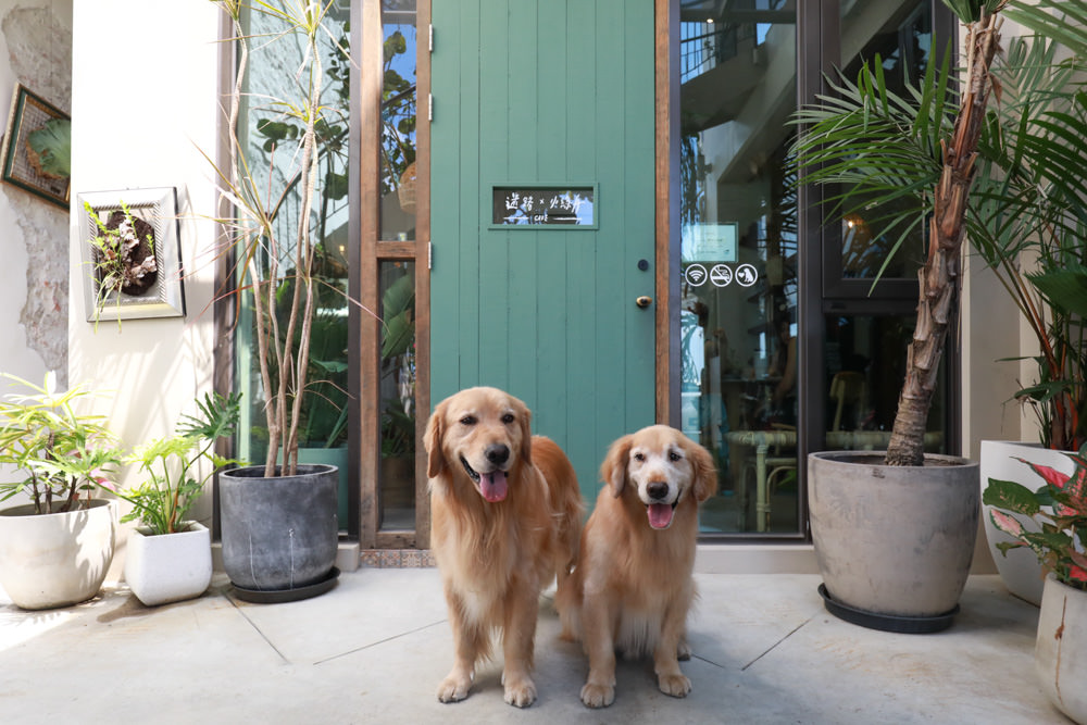墾丁恆春美食｜小綠舟CAFE BARCA VERDE CAFE。寵物友善餐廳、網美森林系植栽咖啡廳