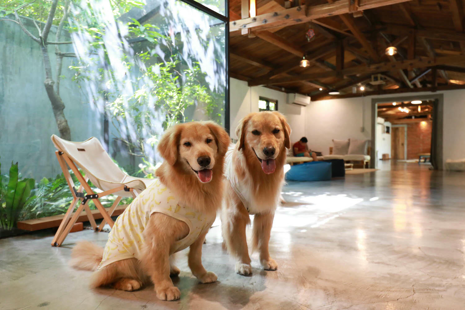 宜蘭礁溪秘境民宿|小雨林。隱藏版寵物友善民宿、絕美老穀倉、森林露天泡湯、林子裡泡湯! - 第9張圖 宜蘭礁溪秘境民宿|小雨林。隱藏版寵物友善民宿、絕美老穀倉、森林露天泡湯、林子裡泡湯!