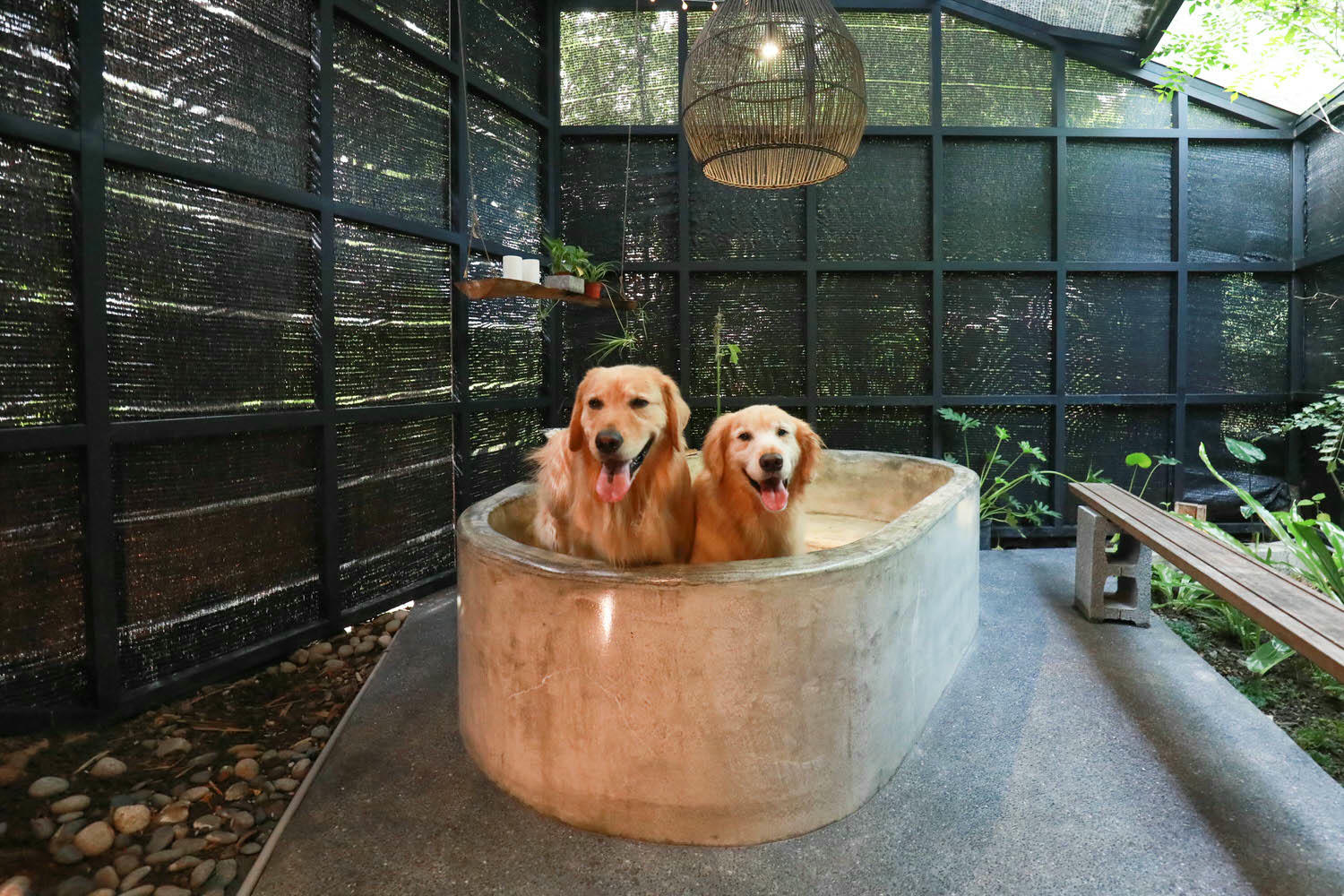 宜蘭礁溪秘境民宿|小雨林。隱藏版寵物友善民宿、絕美老穀倉、森林露天泡湯、林子裡泡湯! - 第32張圖 宜蘭礁溪秘境民宿|小雨林。隱藏版寵物友善民宿、絕美老穀倉、森林露天泡湯、林子裡泡湯!