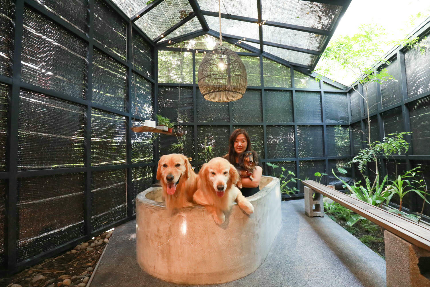 宜蘭礁溪秘境民宿|小雨林。隱藏版寵物友善民宿、絕美老穀倉、森林露天泡湯、林子裡泡湯! - 第1張圖 宜蘭礁溪秘境民宿|小雨林。隱藏版寵物友善民宿、絕美老穀倉、森林露天泡湯、林子裡泡湯!