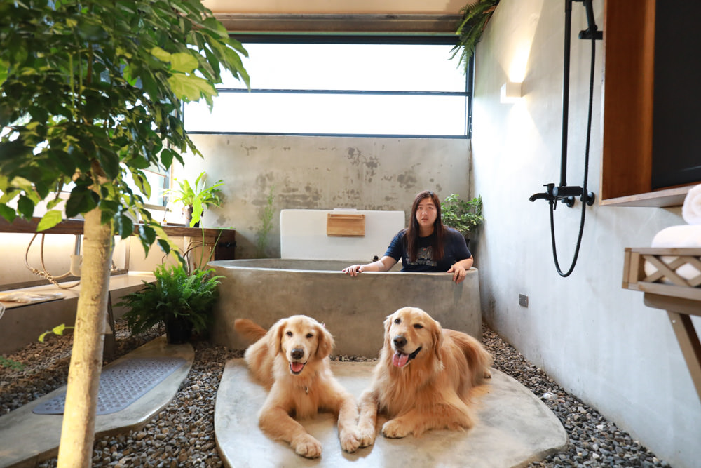 宜蘭礁溪特色溫泉民宿｜小雨林。寵物友善民宿、The Mist Gallery全新洞穴餐廳、閣樓樹屋