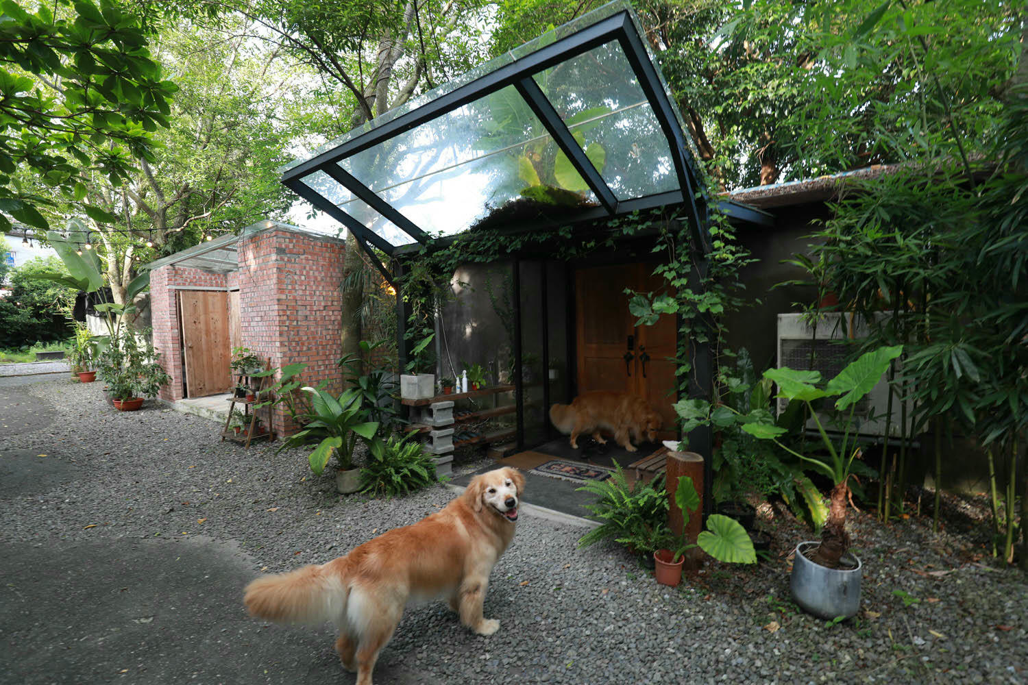 宜蘭礁溪秘境民宿|小雨林。隱藏版寵物友善民宿、絕美老穀倉、森林露天泡湯、林子裡泡湯! - 第3張圖 宜蘭礁溪秘境民宿|小雨林。隱藏版寵物友善民宿、絕美老穀倉、森林露天泡湯、林子裡泡湯!