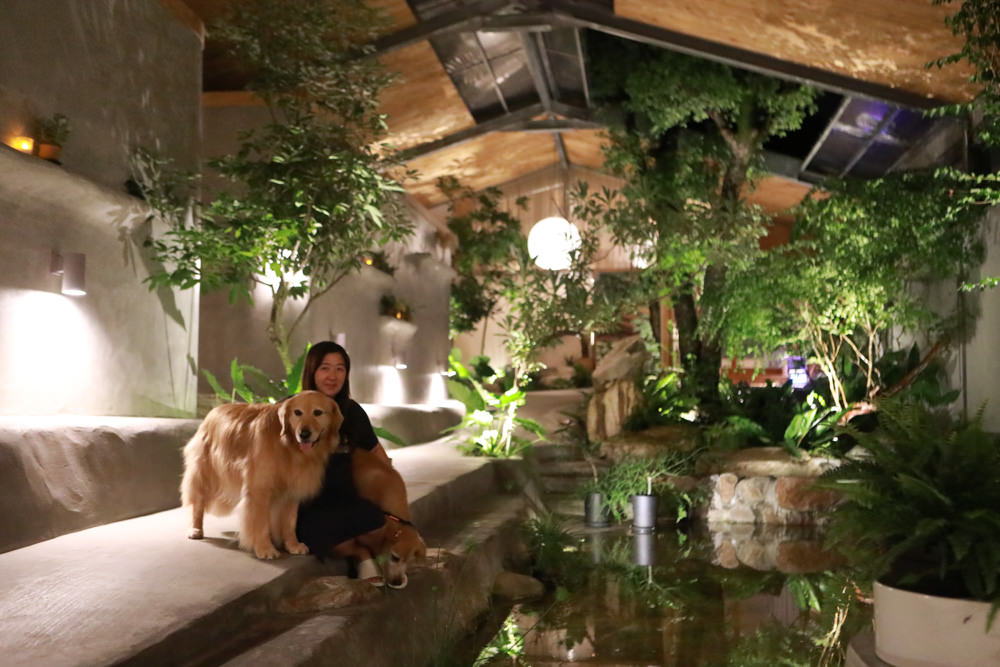 宜蘭礁溪特色溫泉民宿｜小雨林。寵物友善民宿、The Mist Gallery全新洞穴餐廳、閣樓樹屋