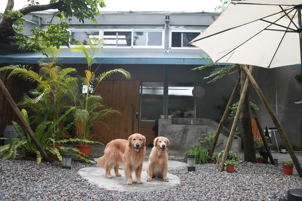 宜蘭礁溪特色溫泉民宿｜小雨林。寵物友善民宿、The Mist Gallery全新洞穴餐廳、閣樓樹屋