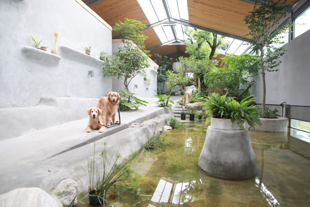 宜蘭礁溪特色溫泉民宿｜小雨林。寵物友善民宿、The Mist Gallery全新洞穴餐廳、閣樓樹屋