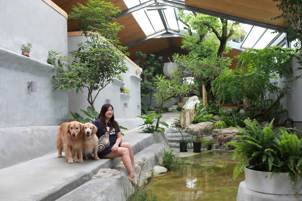 宜蘭礁溪特色溫泉民宿｜小雨林。寵物友善民宿、The Mist Gallery全新洞穴餐廳、閣樓樹屋