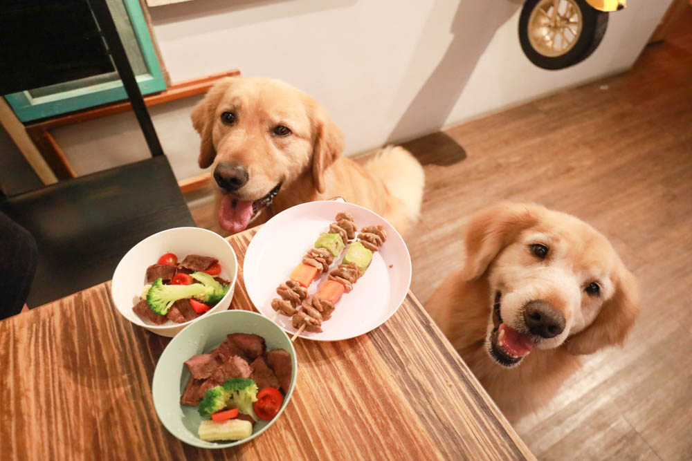 新竹竹北美食｜私嚐居酒屋 竹北店。寵物友善餐廳、日式創意料理、深夜食堂、狗狗專屬串燒寵物餐！！