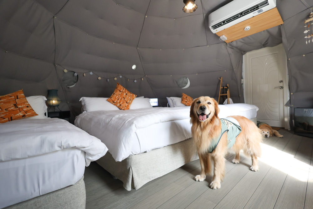 南投峇嵐杉丘BALAN HILL GLAMPING。一泊三食野奢露營體驗、寵物友善奢華露營、絕美星空帳