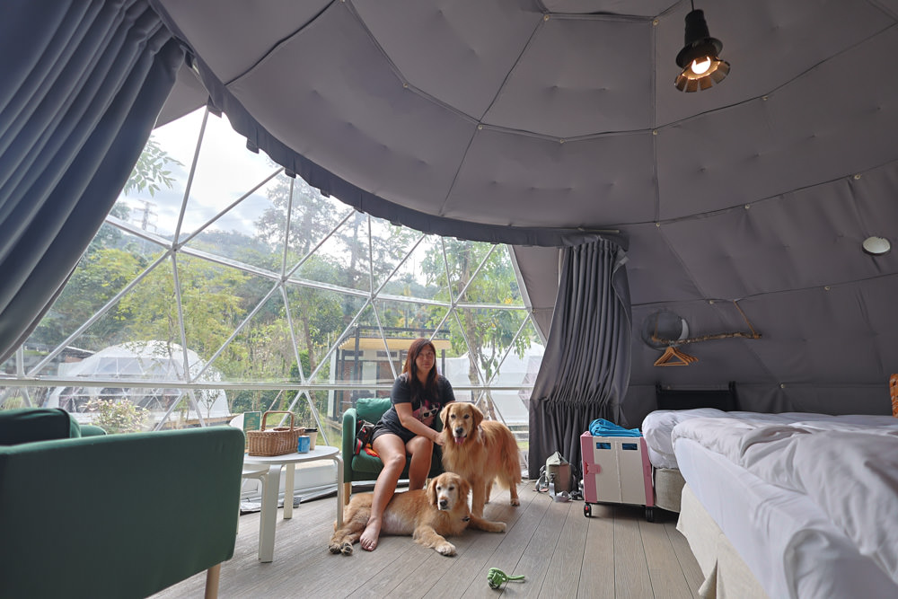 南投峇嵐杉丘BALAN HILL GLAMPING。一泊三食野奢露營體驗、寵物友善奢華露營、絕美星空帳