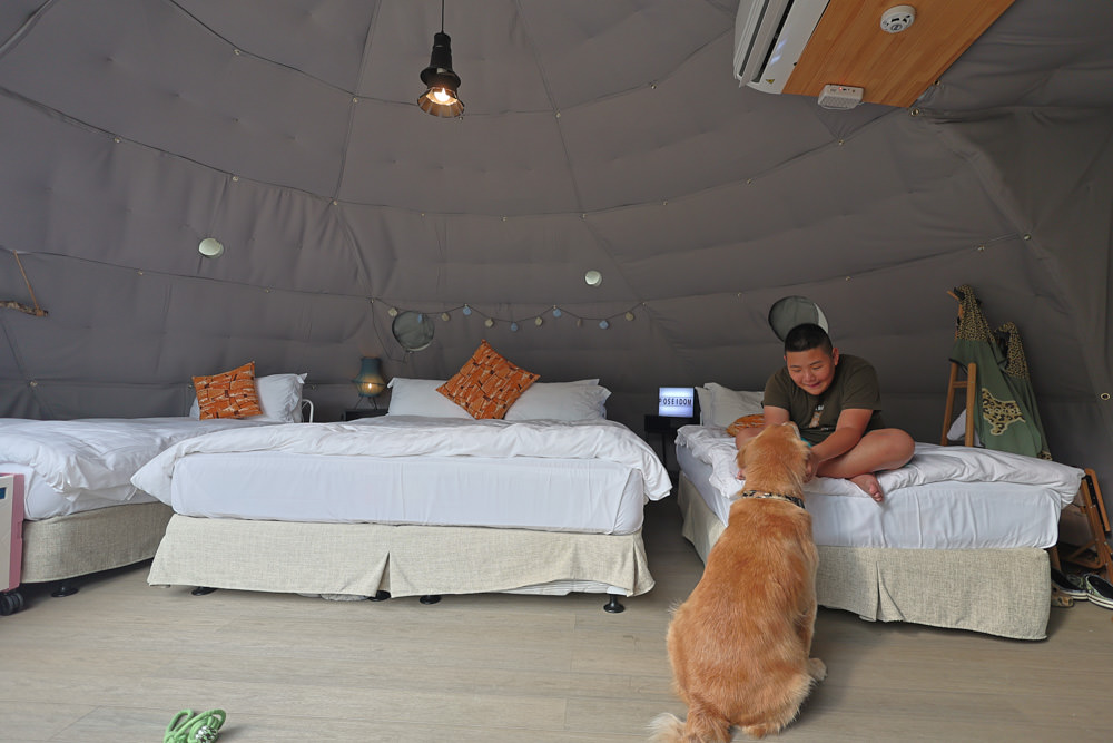 南投峇嵐杉丘BALAN HILL GLAMPING。一泊三食野奢露營體驗、寵物友善奢華露營、絕美星空帳