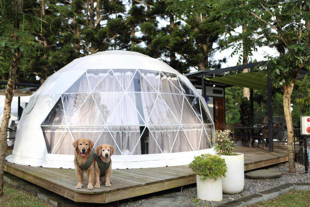 南投峇嵐杉丘BALAN HILL GLAMPING。一泊三食野奢露營體驗、寵物友善奢華露營、絕美星空帳