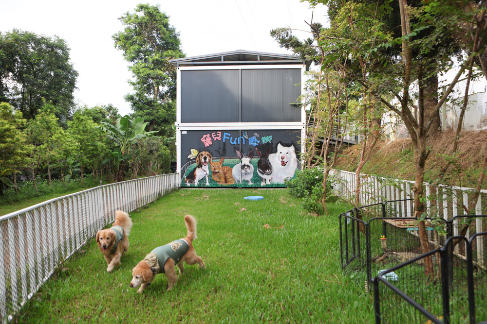 南投峇嵐杉丘BALAN HILL GLAMPING。一泊三食野奢露營體驗、寵物友善奢華露營、絕美星空帳