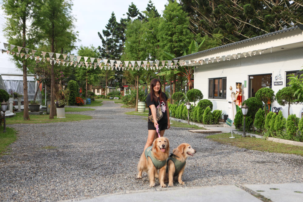 南投峇嵐杉丘BALAN HILL GLAMPING。一泊三食野奢露營體驗、寵物友善奢華露營、絕美星空帳