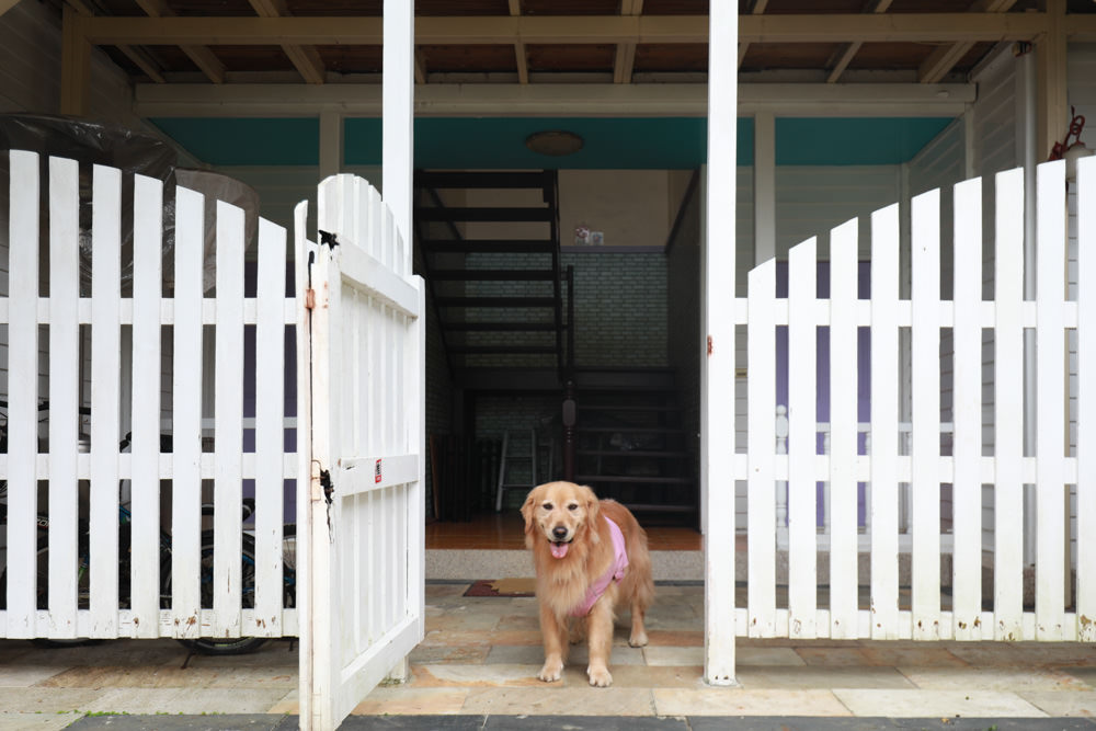 桃園復興|隱峇里山莊。景觀民宿餐廳、露營車、寵物友善民宿餐廳、北橫小烏來南洋峇里島風情 - 第13張圖 桃園復興|隱峇里山莊。景觀民宿餐廳、露營車、寵物友善民宿餐廳、北橫小烏來南洋峇里島風情