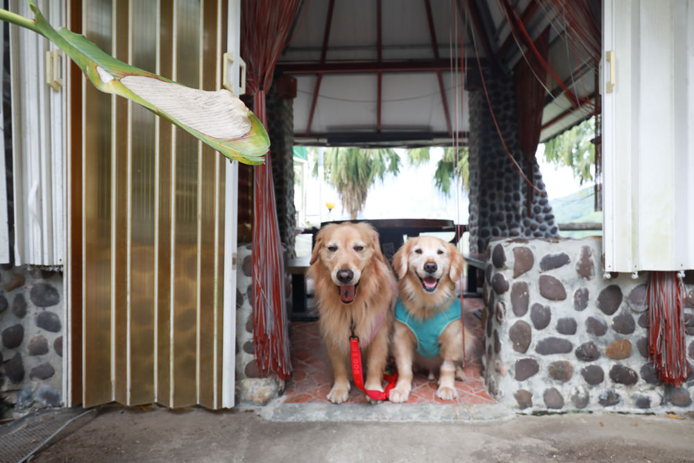 桃園復興|隱峇里山莊。景觀民宿餐廳、露營車、寵物友善民宿餐廳、北橫小烏來南洋峇里島風情 - 第7張圖 桃園復興|隱峇里山莊。景觀民宿餐廳、露營車、寵物友善民宿餐廳、北橫小烏來南洋峇里島風情