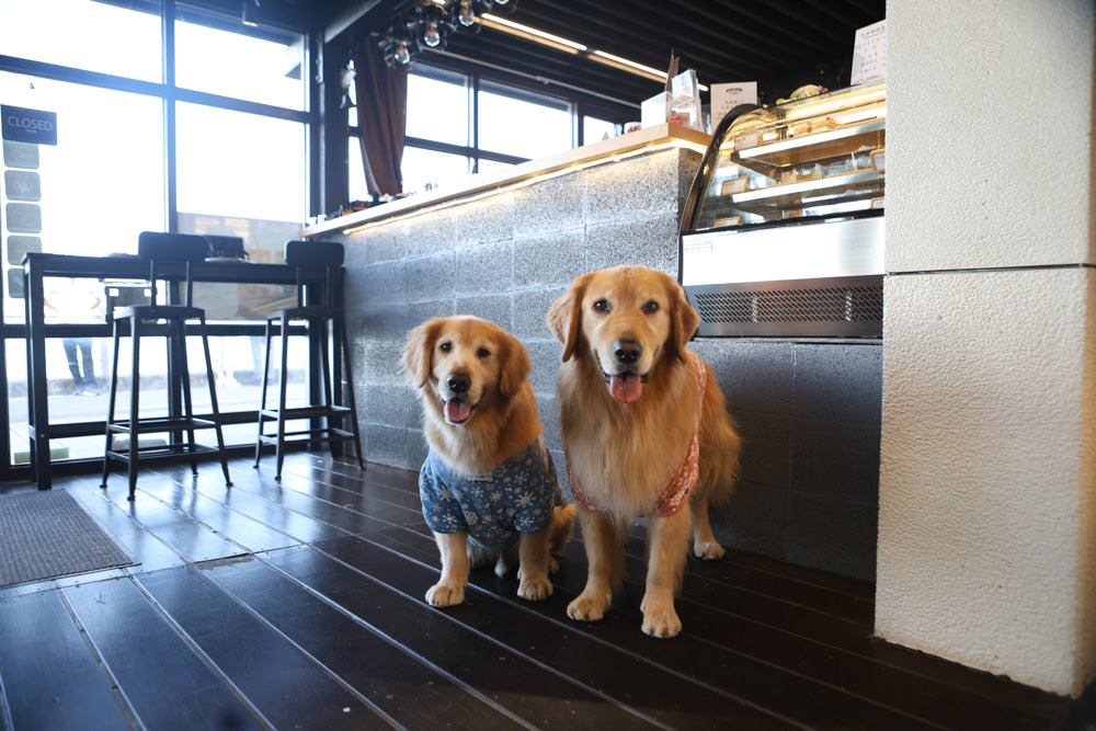 宜蘭頭城美食｜川岩 River Stone Coffee。龜山島海景第一排絕美咖啡廳、寵物友善餐廳、烏石港海岸步道上