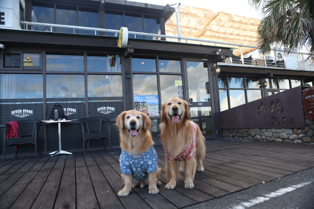 宜蘭頭城美食｜川岩 River Stone Coffee。龜山島海景第一排絕美咖啡廳、寵物友善餐廳、烏石港海岸步道上