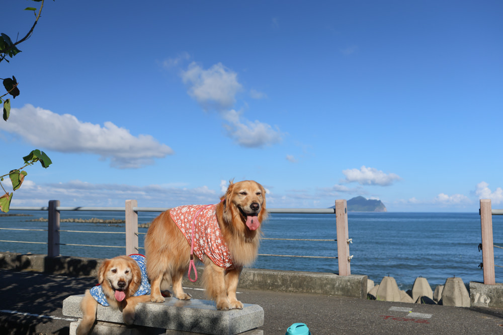宜蘭頭城美食｜川岩 River Stone Coffee。龜山島海景第一排絕美咖啡廳、寵物友善餐廳、烏石港海岸步道上