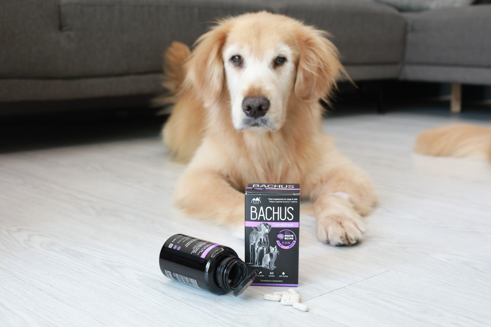 寵物營養保健品|瑞士巴吉斯Bachus專業犬貓營養保健系列。骨骼關節保健錠、毛髮&皮膚滋養保健錠、肝臟&消化系統保健錠、免疫力&抵抗力防護保健錠、情緒舒緩&穩定保健錠、小型犬綜合營養保健錠、牙齒&牙齦健康保健錠 - 第8張圖 寵物營養保健品|瑞士巴吉斯Bachus專業犬貓營養保健系列。骨骼關節保健錠、毛髮&皮膚滋養保健錠、肝臟&消化系統保健錠、免疫力&抵抗力防護保健錠、情緒舒緩&穩定保健錠、小型犬綜合營養保健錠、牙齒&牙齦健康保健錠