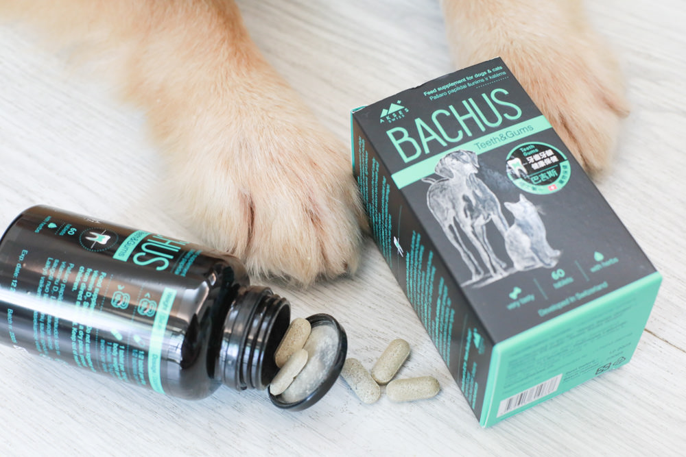 寵物營養保健品|瑞士巴吉斯Bachus專業犬貓營養保健系列。骨骼關節保健錠、毛髮&皮膚滋養保健錠、肝臟&消化系統保健錠、免疫力&抵抗力防護保健錠、情緒舒緩&穩定保健錠、小型犬綜合營養保健錠、牙齒&牙齦健康保健錠 - 第20張圖 寵物營養保健品|瑞士巴吉斯Bachus專業犬貓營養保健系列。骨骼關節保健錠、毛髮&皮膚滋養保健錠、肝臟&消化系統保健錠、免疫力&抵抗力防護保健錠、情緒舒緩&穩定保健錠、小型犬綜合營養保健錠、牙齒&牙齦健康保健錠