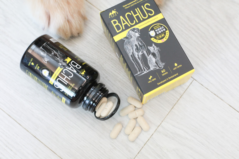 寵物營養保健品|瑞士巴吉斯Bachus專業犬貓營養保健系列。骨骼關節保健錠、毛髮&皮膚滋養保健錠、肝臟&消化系統保健錠、免疫力&抵抗力防護保健錠、情緒舒緩&穩定保健錠、小型犬綜合營養保健錠、牙齒&牙齦健康保健錠 - 第14張圖 寵物營養保健品|瑞士巴吉斯Bachus專業犬貓營養保健系列。骨骼關節保健錠、毛髮&皮膚滋養保健錠、肝臟&消化系統保健錠、免疫力&抵抗力防護保健錠、情緒舒緩&穩定保健錠、小型犬綜合營養保健錠、牙齒&牙齦健康保健錠