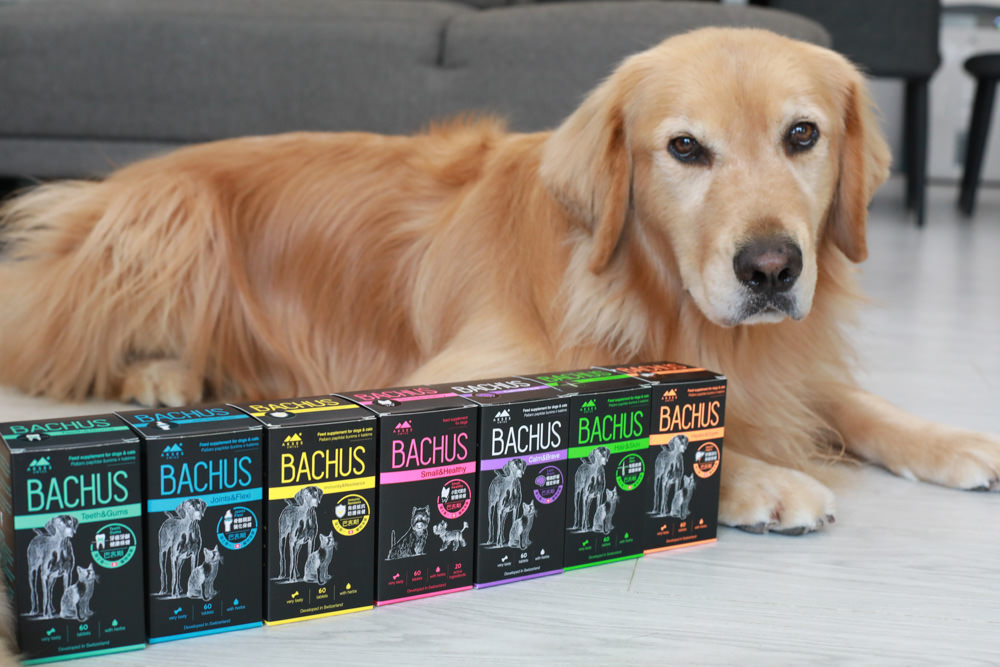 寵物營養保健品|瑞士巴吉斯Bachus專業犬貓營養保健系列。骨骼關節保健錠、毛髮&皮膚滋養保健錠、肝臟&消化系統保健錠、免疫力&抵抗力防護保健錠、情緒舒緩&穩定保健錠、小型犬綜合營養保健錠、牙齒&牙齦健康保健錠 - 第2張圖 寵物營養保健品|瑞士巴吉斯Bachus專業犬貓營養保健系列。骨骼關節保健錠、毛髮&皮膚滋養保健錠、肝臟&消化系統保健錠、免疫力&抵抗力防護保健錠、情緒舒緩&穩定保健錠、小型犬綜合營養保健錠、牙齒&牙齦健康保健錠