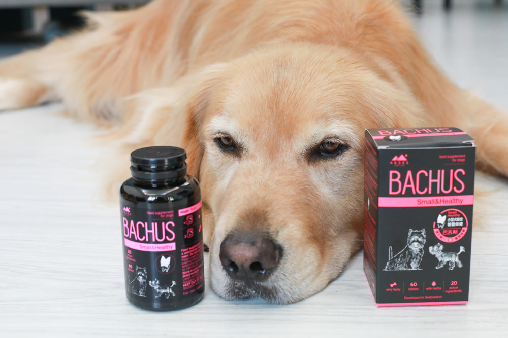 寵物營養保健品|瑞士巴吉斯Bachus專業犬貓營養保健系列。骨骼關節保健錠、毛髮&皮膚滋養保健錠、肝臟&消化系統保健錠、免疫力&抵抗力防護保健錠、情緒舒緩&穩定保健錠、小型犬綜合營養保健錠、牙齒&牙齦健康保健錠 - 第15張圖 寵物營養保健品|瑞士巴吉斯Bachus專業犬貓營養保健系列。骨骼關節保健錠、毛髮&皮膚滋養保健錠、肝臟&消化系統保健錠、免疫力&抵抗力防護保健錠、情緒舒緩&穩定保健錠、小型犬綜合營養保健錠、牙齒&牙齦健康保健錠