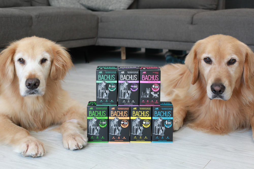 寵物營養保健品｜瑞士巴吉斯Bachus專業犬貓營養保健系列。骨骼關節保健錠、毛髮&皮膚滋養保健錠、肝臟&消化系統保健錠、免疫力&抵抗力防護保健錠、情緒舒緩&穩定保健錠、小型犬綜合營養保健錠、牙齒&牙齦健康保健錠