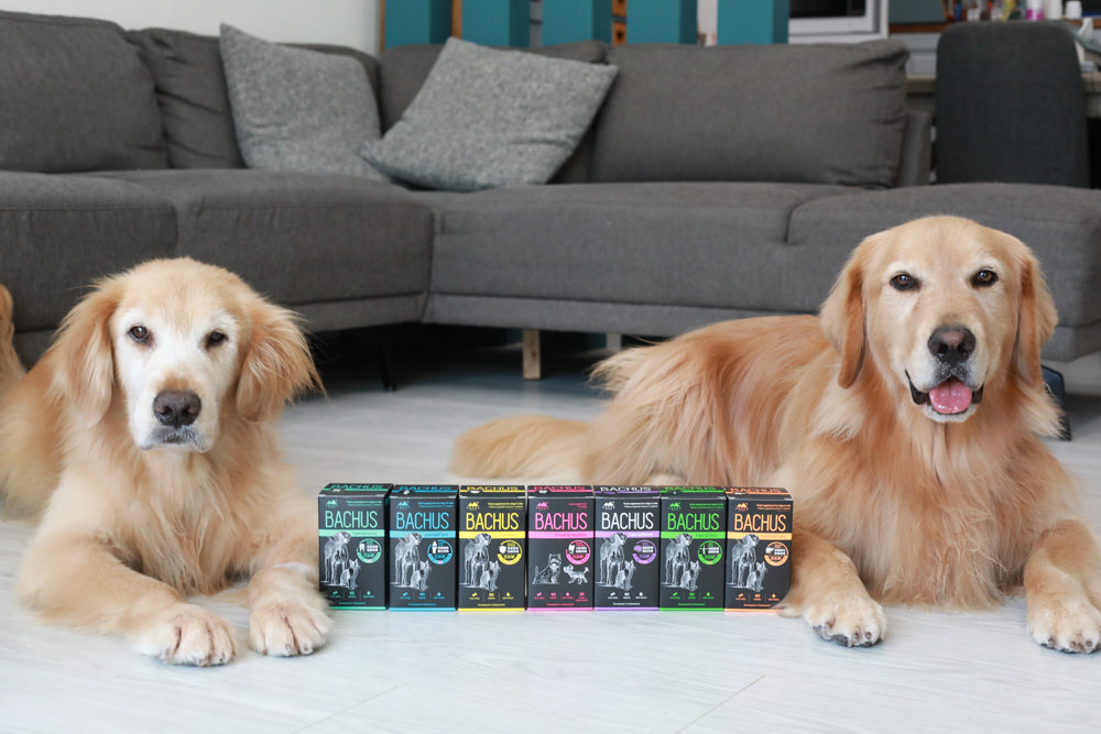 寵物營養保健品|瑞士巴吉斯Bachus專業犬貓營養保健系列。骨骼關節保健錠、毛髮&皮膚滋養保健錠、肝臟&消化系統保健錠、免疫力&抵抗力防護保健錠、情緒舒緩&穩定保健錠、小型犬綜合營養保健錠、牙齒&牙齦健康保健錠 - 第22張圖 寵物營養保健品|瑞士巴吉斯Bachus專業犬貓營養保健系列。骨骼關節保健錠、毛髮&皮膚滋養保健錠、肝臟&消化系統保健錠、免疫力&抵抗力防護保健錠、情緒舒緩&穩定保健錠、小型犬綜合營養保健錠、牙齒&牙齦健康保健錠