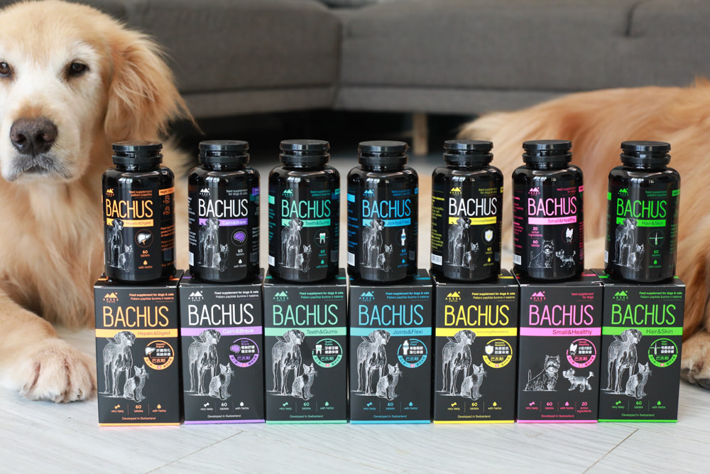 寵物營養保健品|瑞士巴吉斯Bachus專業犬貓營養保健系列。骨骼關節保健錠、毛髮&皮膚滋養保健錠、肝臟&消化系統保健錠、免疫力&抵抗力防護保健錠、情緒舒緩&穩定保健錠、小型犬綜合營養保健錠、牙齒&牙齦健康保健錠 - 第4張圖 寵物營養保健品|瑞士巴吉斯Bachus專業犬貓營養保健系列。骨骼關節保健錠、毛髮&皮膚滋養保健錠、肝臟&消化系統保健錠、免疫力&抵抗力防護保健錠、情緒舒緩&穩定保健錠、小型犬綜合營養保健錠、牙齒&牙齦健康保健錠
