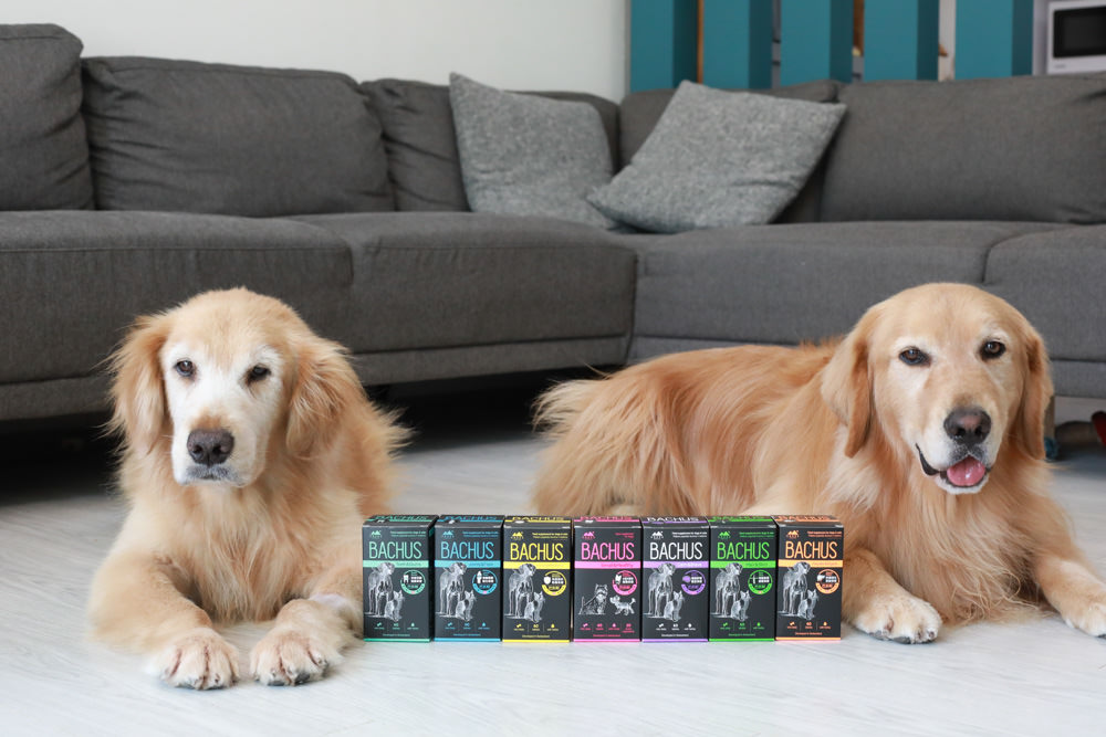 寵物營養保健品|瑞士巴吉斯Bachus專業犬貓營養保健系列。骨骼關節保健錠、毛髮&皮膚滋養保健錠、肝臟&消化系統保健錠、免疫力&抵抗力防護保健錠、情緒舒緩&穩定保健錠、小型犬綜合營養保健錠、牙齒&牙齦健康保健錠 - 第1張圖 寵物營養保健品|瑞士巴吉斯Bachus專業犬貓營養保健系列。骨骼關節保健錠、毛髮&皮膚滋養保健錠、肝臟&消化系統保健錠、免疫力&抵抗力防護保健錠、情緒舒緩&穩定保健錠、小型犬綜合營養保健錠、牙齒&牙齦健康保健錠