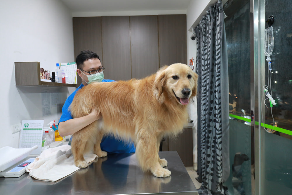 寵物|年年PawPaw科學機能寵物鮮食包。常溫保存、即開即食、台大中獸醫郭璟逸醫師研製食療級配方! - 第3張圖 寵物|年年PawPaw科學機能寵物鮮食包。常溫保存、即開即食、台大中獸醫郭璟逸醫師研製食療級配方!