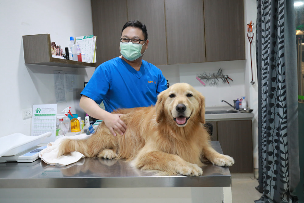 寵物|年年PawPaw科學機能寵物鮮食包。常溫保存、即開即食、台大中獸醫郭璟逸醫師研製食療級配方! - 第5張圖 寵物|年年PawPaw科學機能寵物鮮食包。常溫保存、即開即食、台大中獸醫郭璟逸醫師研製食療級配方!