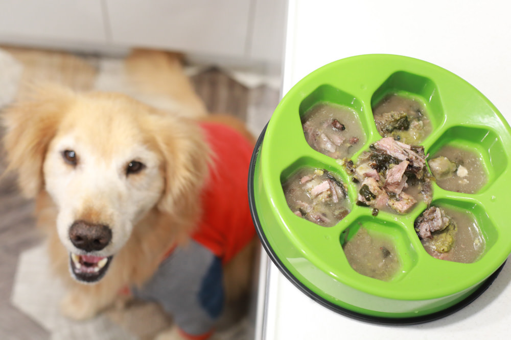 寵物|年年PawPaw科學機能寵物鮮食包。常溫保存、即開即食、台大中獸醫郭璟逸醫師研製食療級配方! - 第7張圖 寵物|年年PawPaw科學機能寵物鮮食包。常溫保存、即開即食、台大中獸醫郭璟逸醫師研製食療級配方!