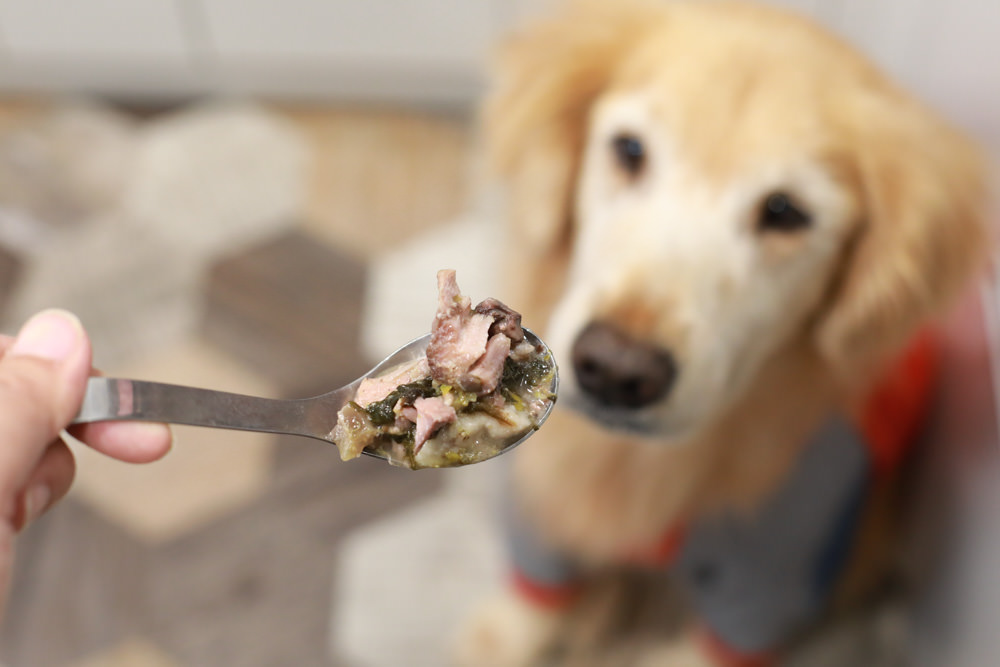 寵物|年年PawPaw科學機能寵物鮮食包。常溫保存、即開即食、台大中獸醫郭璟逸醫師研製食療級配方! - 第13張圖 寵物|年年PawPaw科學機能寵物鮮食包。常溫保存、即開即食、台大中獸醫郭璟逸醫師研製食療級配方!