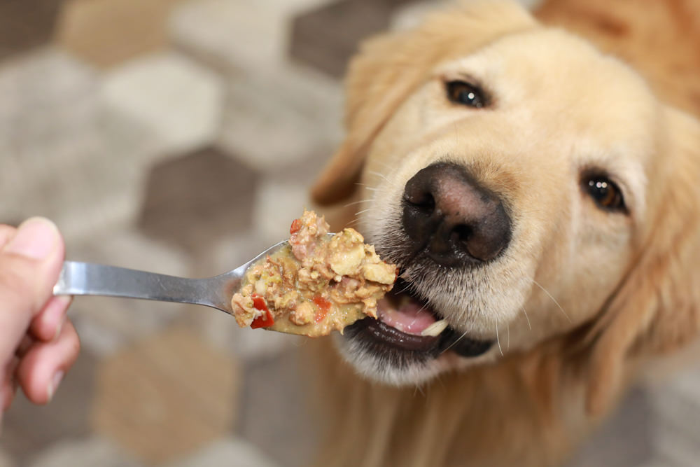 寵物|年年PawPaw科學機能寵物鮮食包。常溫保存、即開即食、台大中獸醫郭璟逸醫師研製食療級配方! - 第16張圖 寵物|年年PawPaw科學機能寵物鮮食包。常溫保存、即開即食、台大中獸醫郭璟逸醫師研製食療級配方!