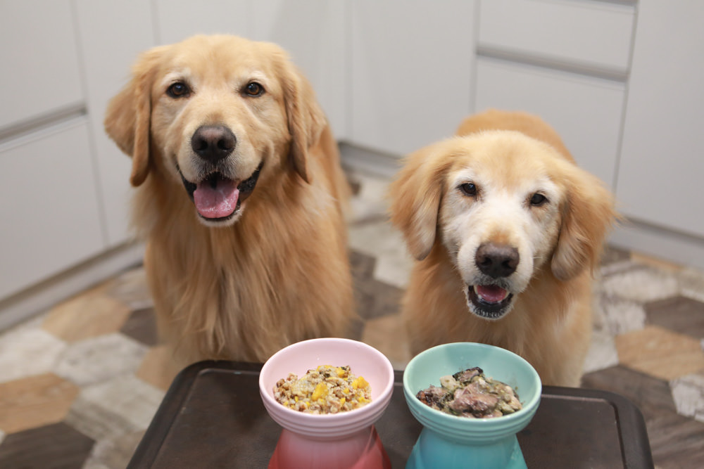 寵物|年年PawPaw科學機能寵物鮮食包。常溫保存、即開即食、台大中獸醫郭璟逸醫師研製食療級配方! - 第20張圖 寵物|年年PawPaw科學機能寵物鮮食包。常溫保存、即開即食、台大中獸醫郭璟逸醫師研製食療級配方!