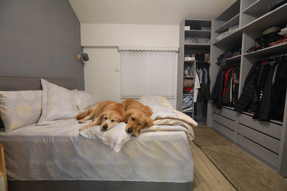 天絲床組｜FOCA八件式吸濕排汗天絲兩用被舖棉床罩組 。極致頂級細緻觸感、3M專利吸濕排汗、舒適透氣