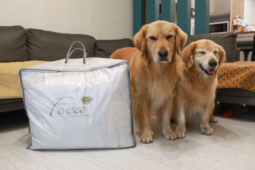 天絲床組｜FOCA八件式吸濕排汗天絲兩用被舖棉床罩組 。極致頂級細緻觸感、3M專利吸濕排汗、舒適透氣